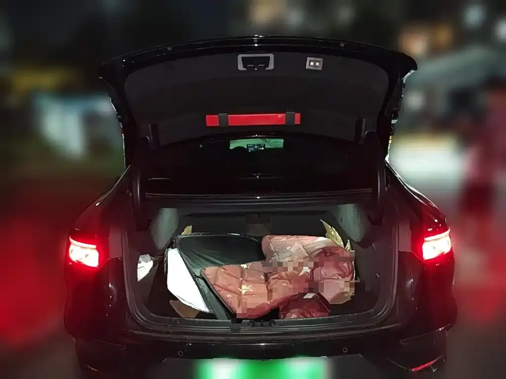 [object Object] Han 2023 из CN, фото 10