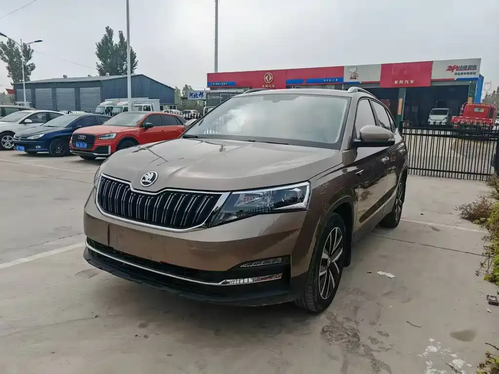 Skoda Kamiq 2021 из CN, фото 1