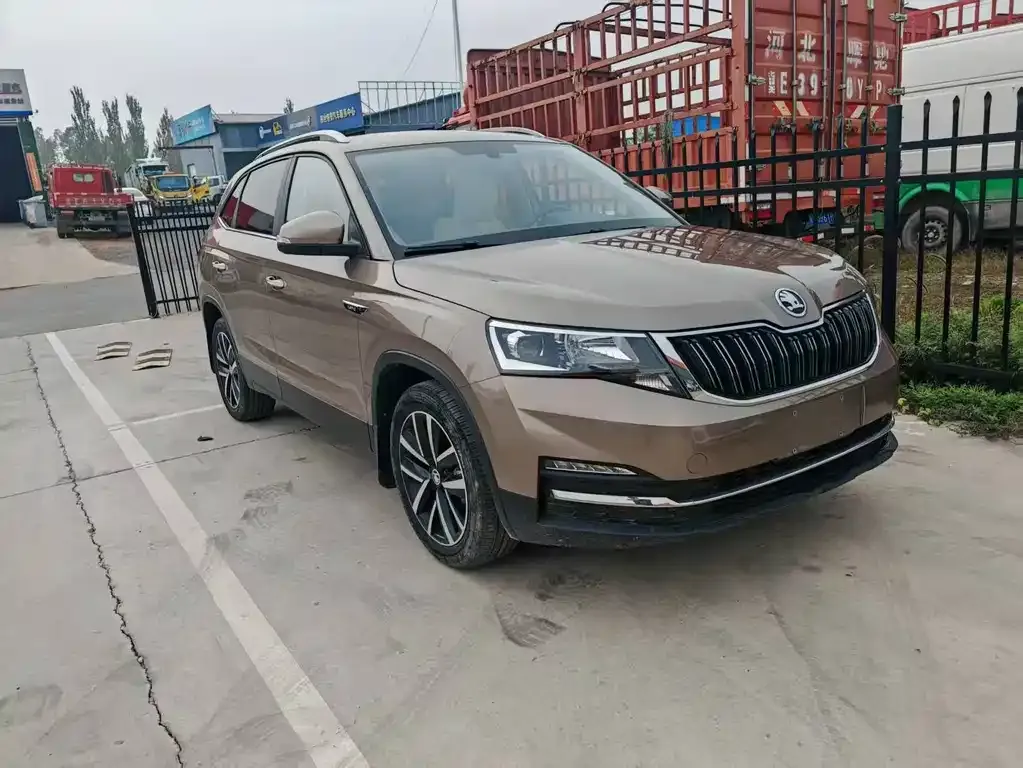 Skoda Kamiq 2021 из CN, фото 2