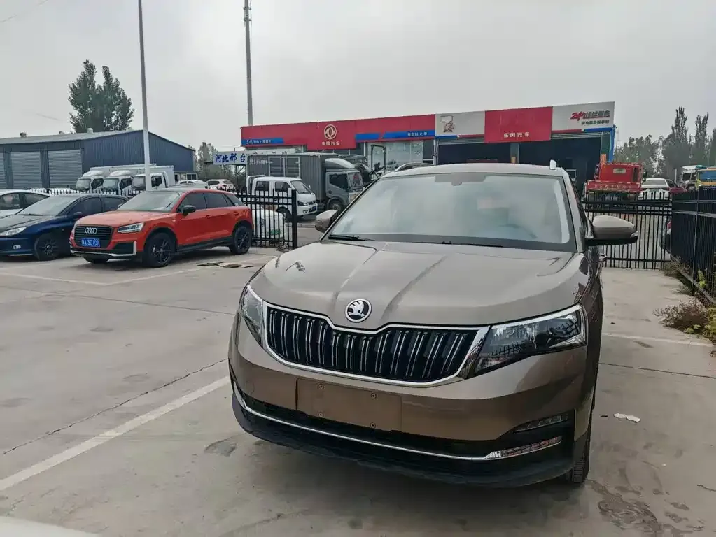 Skoda Kamiq 2021 из CN, фото 3