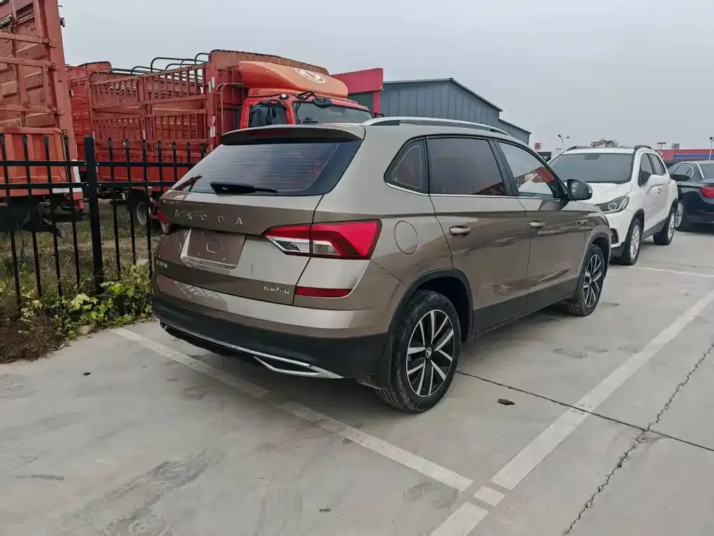 Skoda Kamiq 2021 из CN, фото 4
