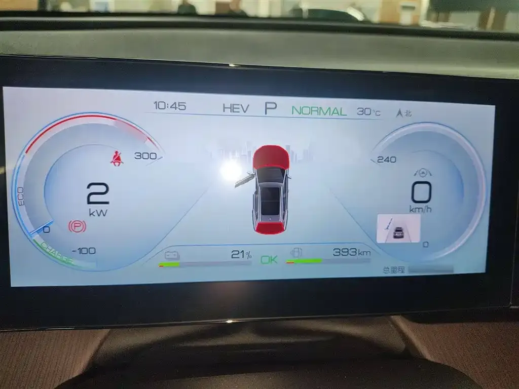 BYD Pro New Energy 2023 из CN, фото 4