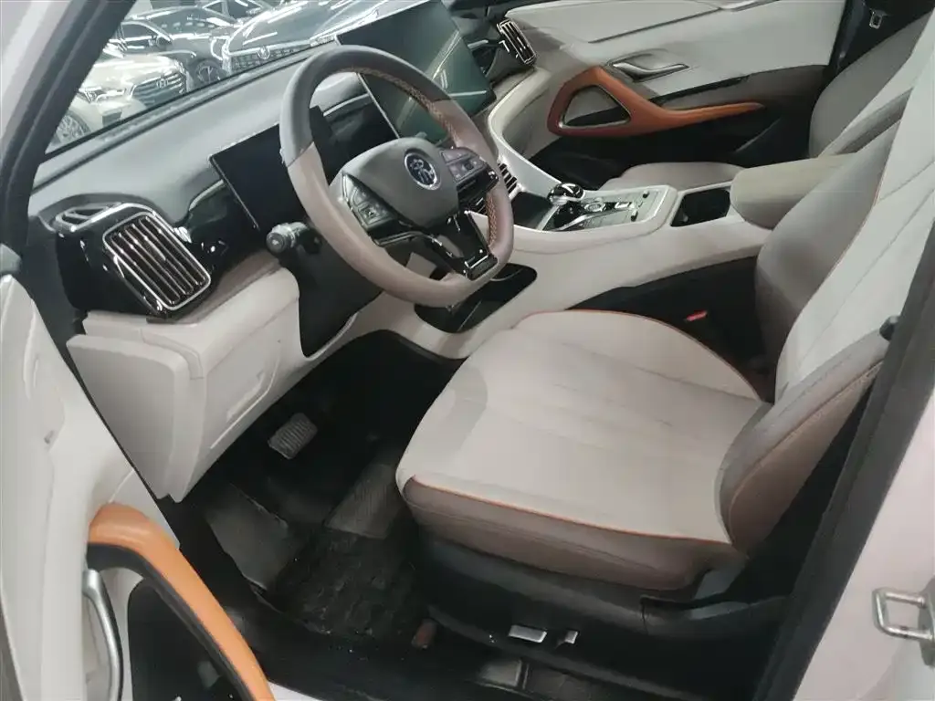 BYD Pro New Energy 2023 из CN, фото 8