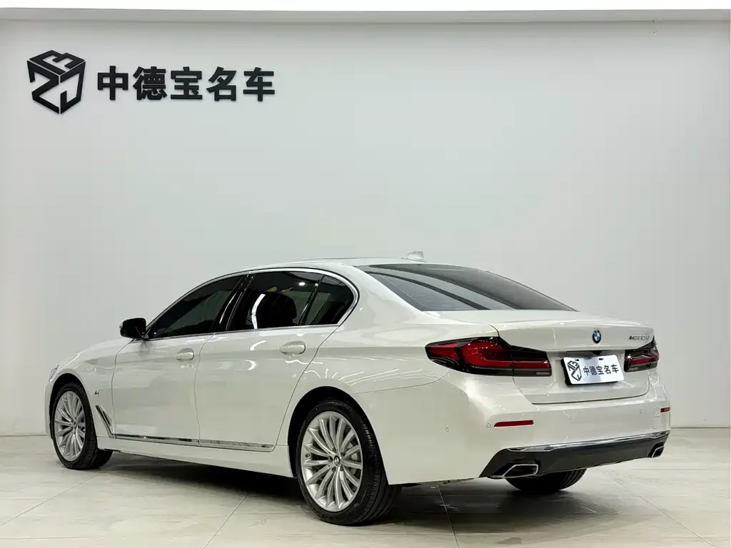 BMW 5 Series 2023 из CN, фото 4