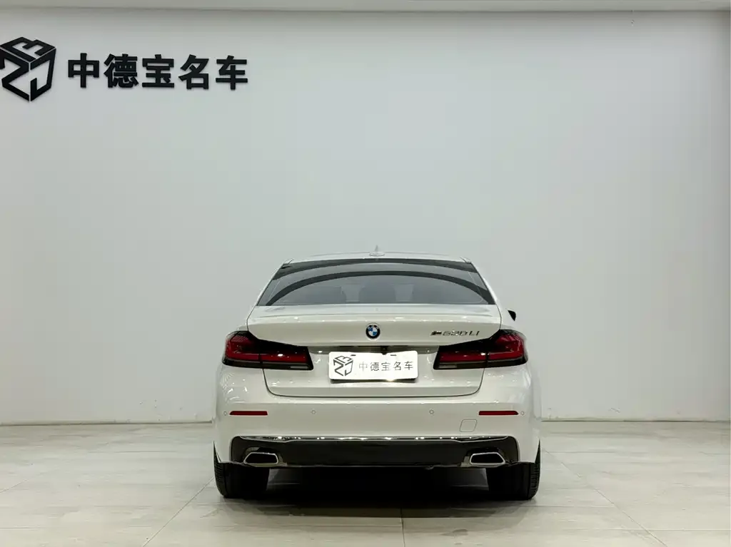 BMW 5 Series 2023 из CN, фото 5
