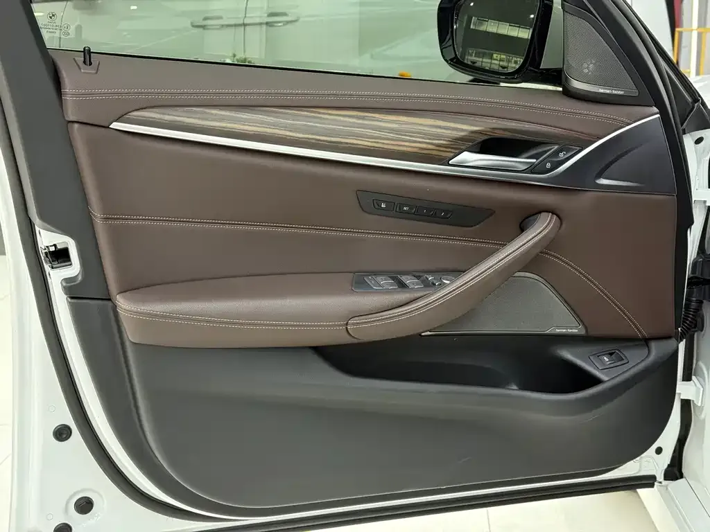 BMW 5 Series 2023 из CN, фото 9