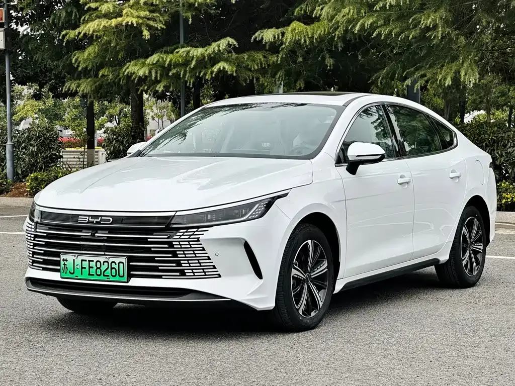 BYD Destroyer 05 2023 из CN, фото 1