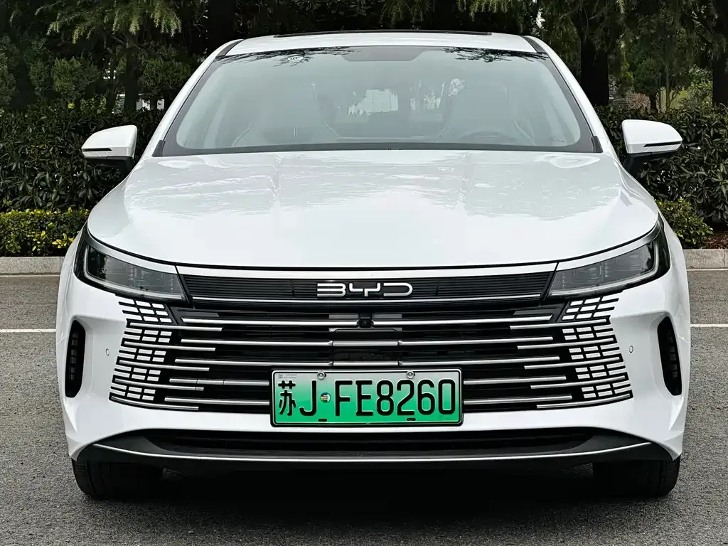 BYD Destroyer 05 2023 из CN, фото 2