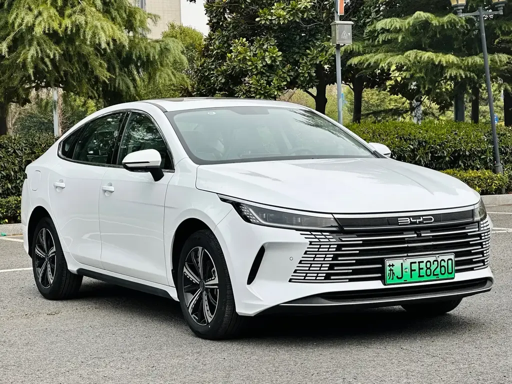 BYD Destroyer 05 2023 из CN, фото 3
