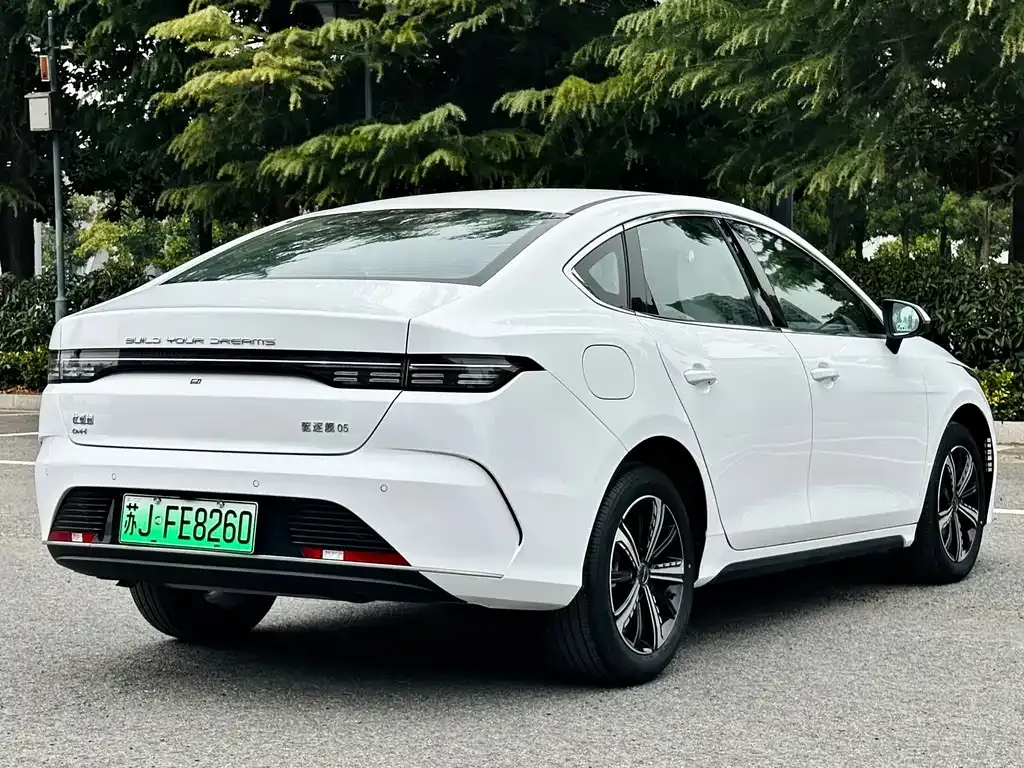 BYD Destroyer 05 2023 из CN, фото 4