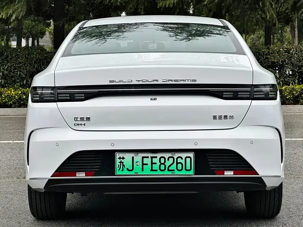 BYD Destroyer 05 2023 из CN, фото 5