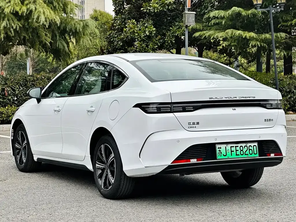 BYD Destroyer 05 2023 из CN, фото 6