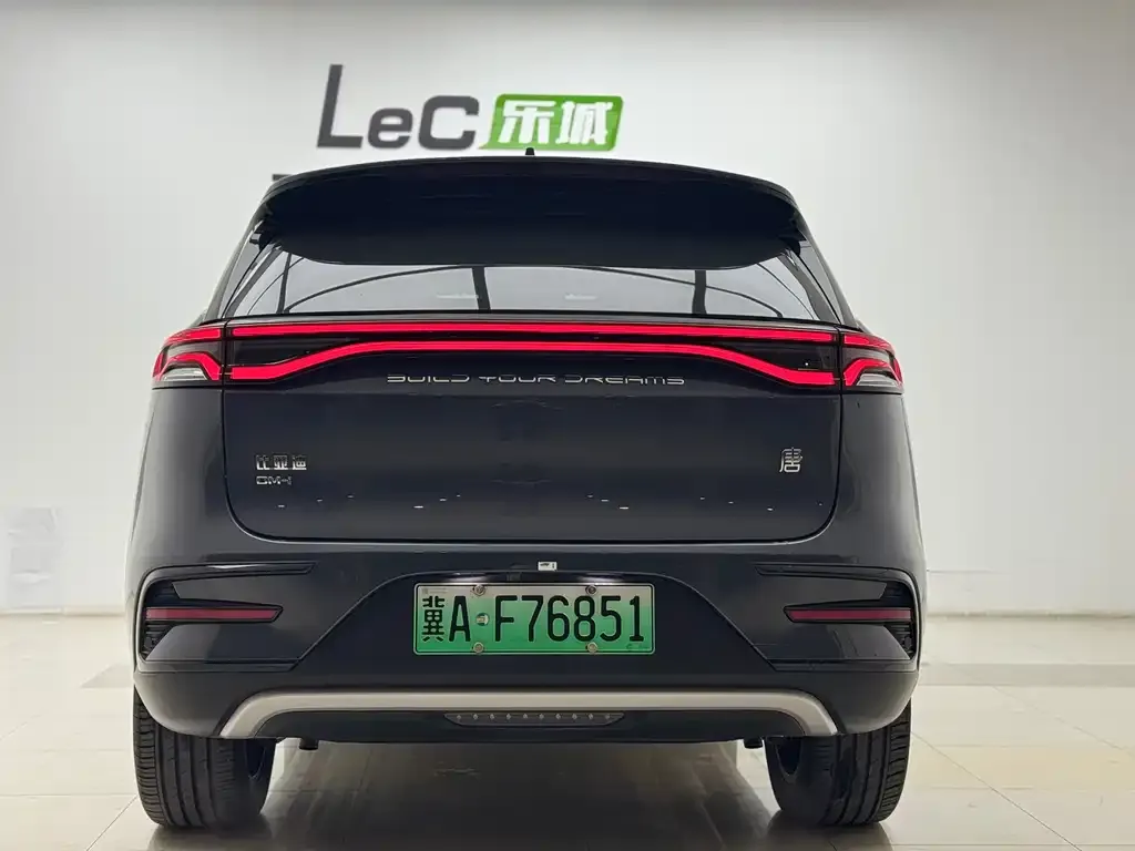 BYD Tang New Energy 2023 из CN, фото 5