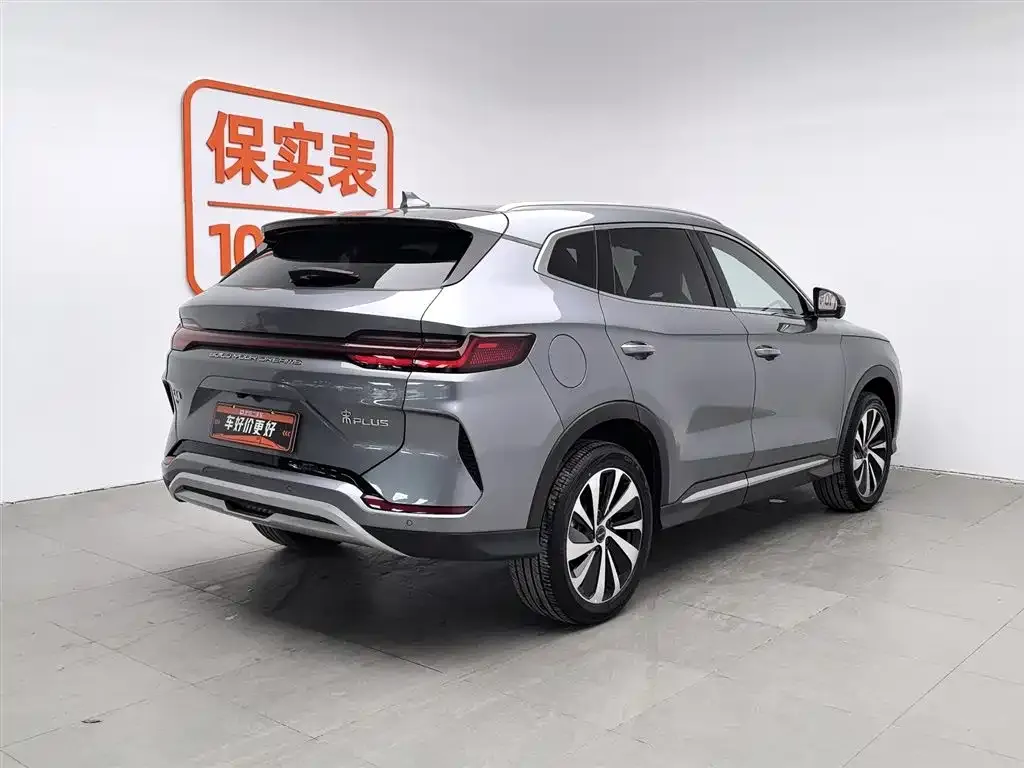 BYD PLUS New Energy 2024 из CN, фото 2
