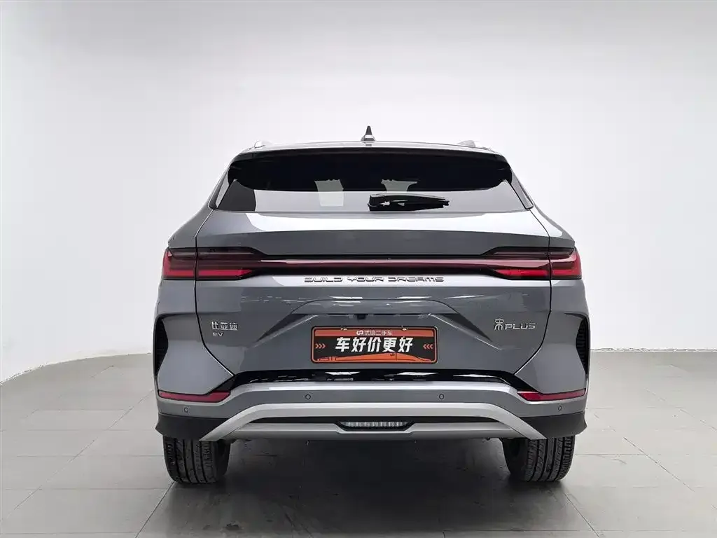 BYD PLUS New Energy 2024 из CN, фото 4