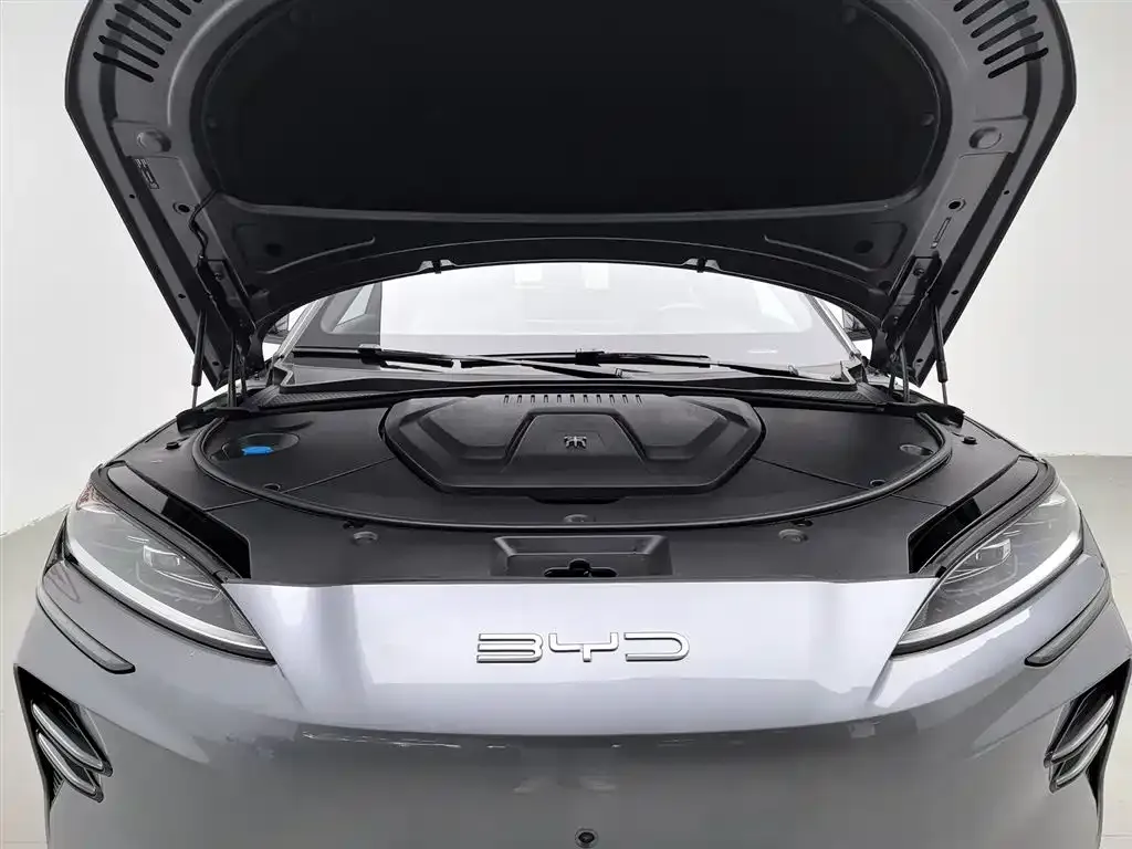 BYD PLUS New Energy 2024 из CN, фото 6