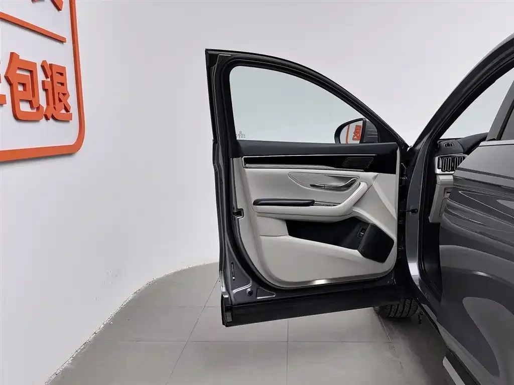 BYD PLUS New Energy 2024 из CN, фото 8