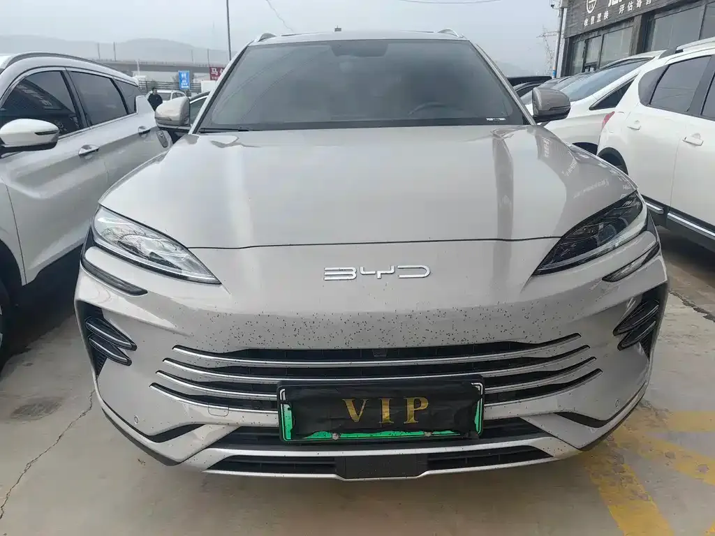 BYD PLUS New Energy 2024 из CN, фото 2