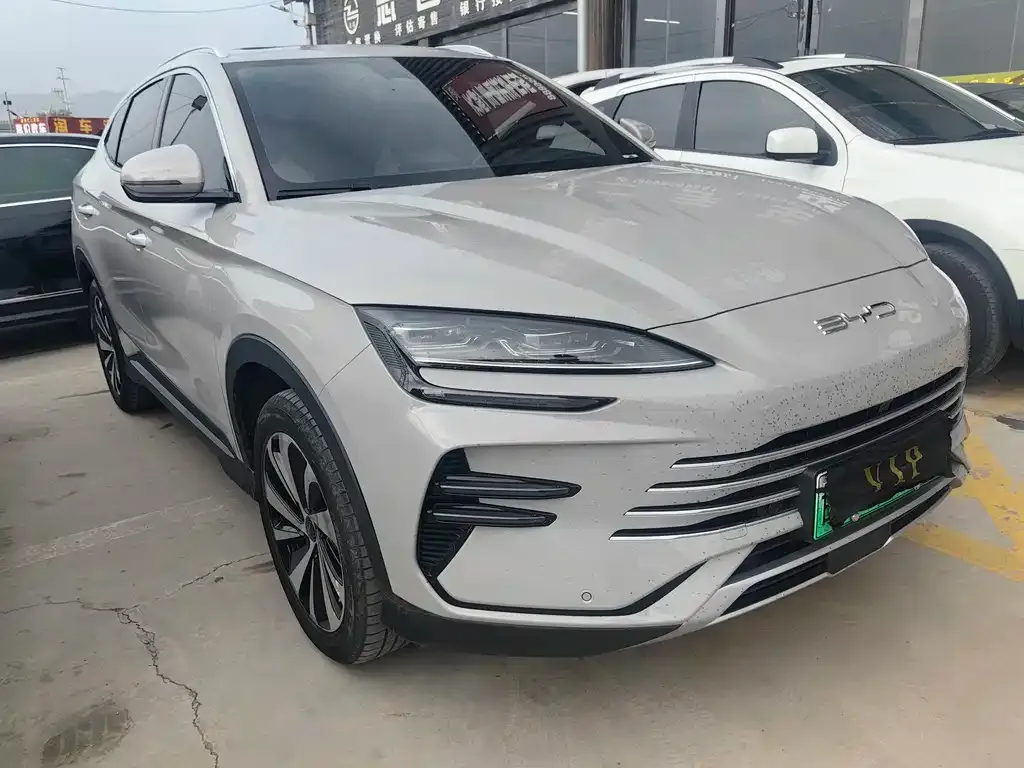 BYD PLUS New Energy 2024 из CN, фото 3