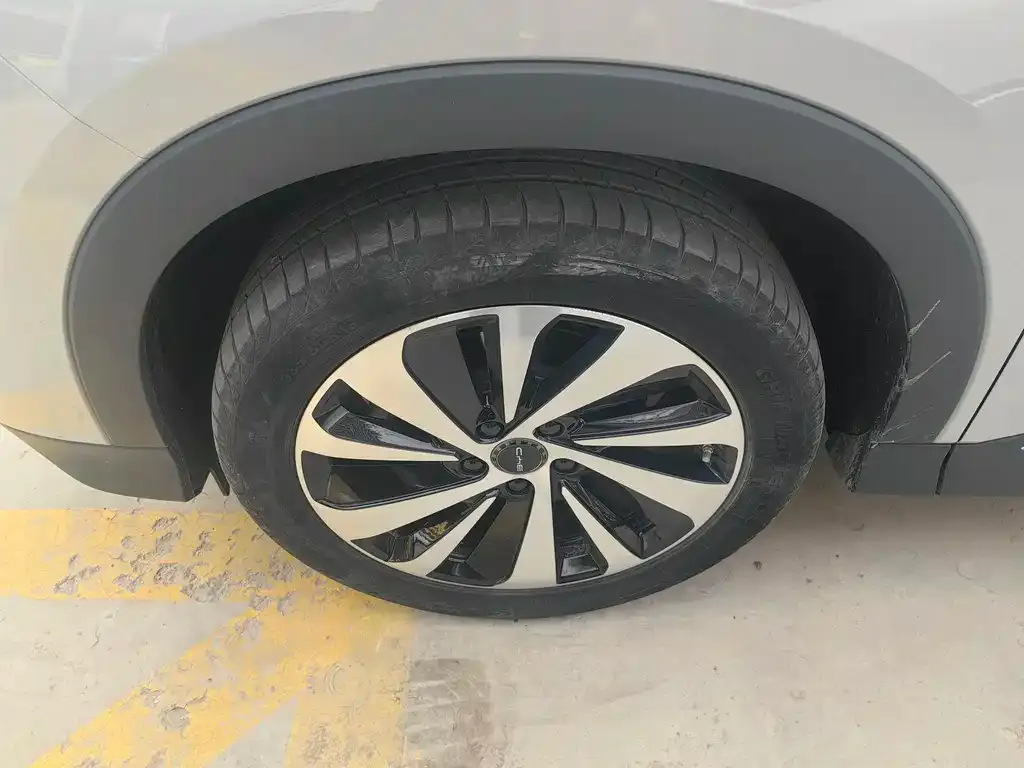 BYD PLUS New Energy 2024 из CN, фото 4