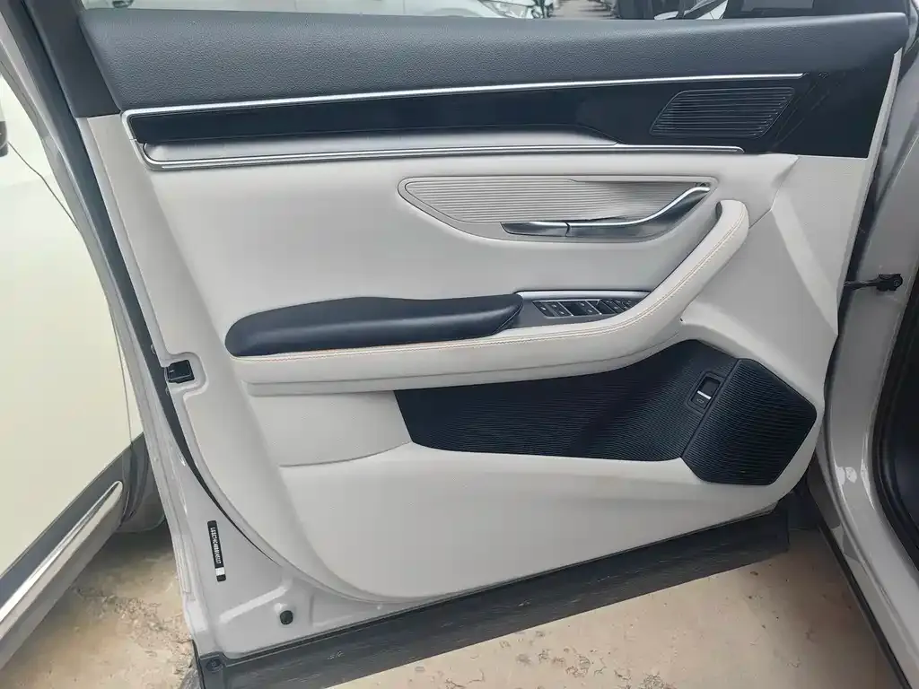 BYD PLUS New Energy 2024 из CN, фото 5