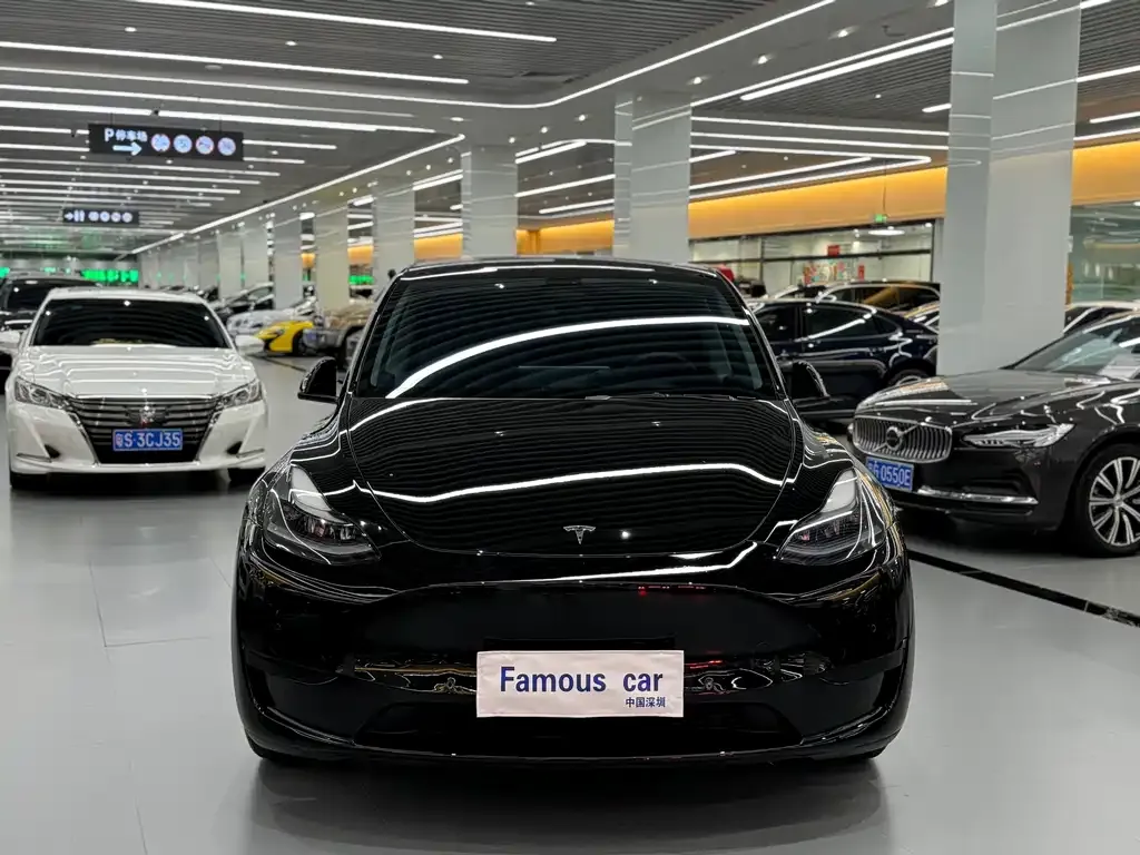 Tesla Model Y 2022 из CN, фото 2