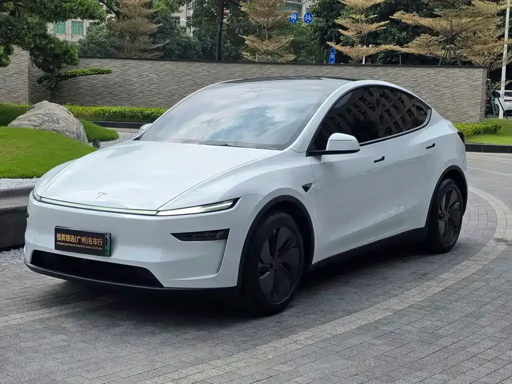 Tesla Model Y — фото 1