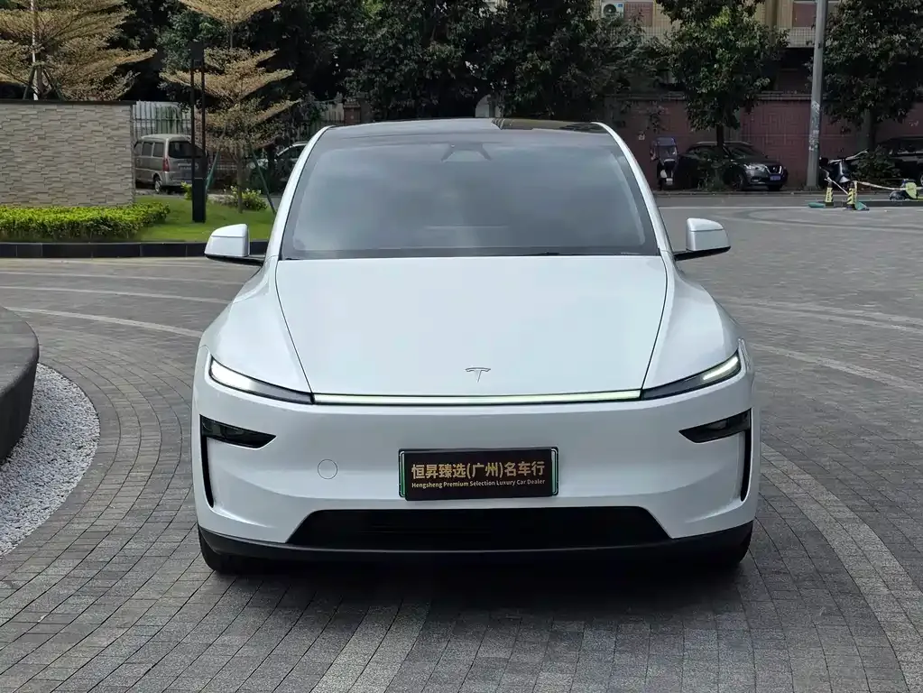 Tesla Model Y — фото 2