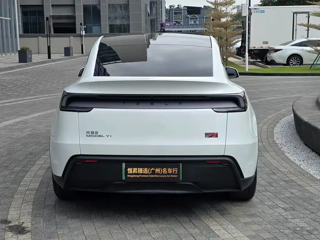 Tesla Model Y — фото 5