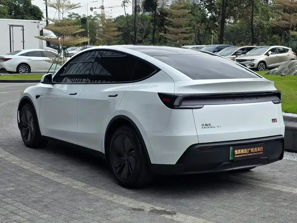 Tesla Model Y — фото 6