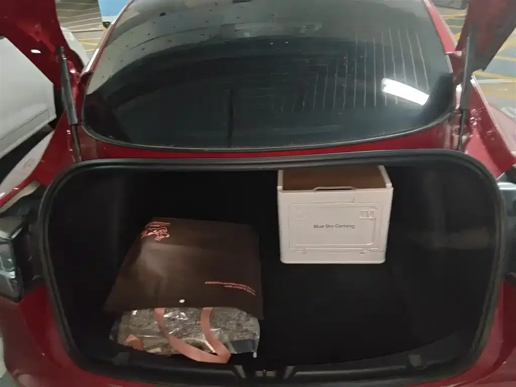 Tesla Model 3 2021 из CN, фото 10