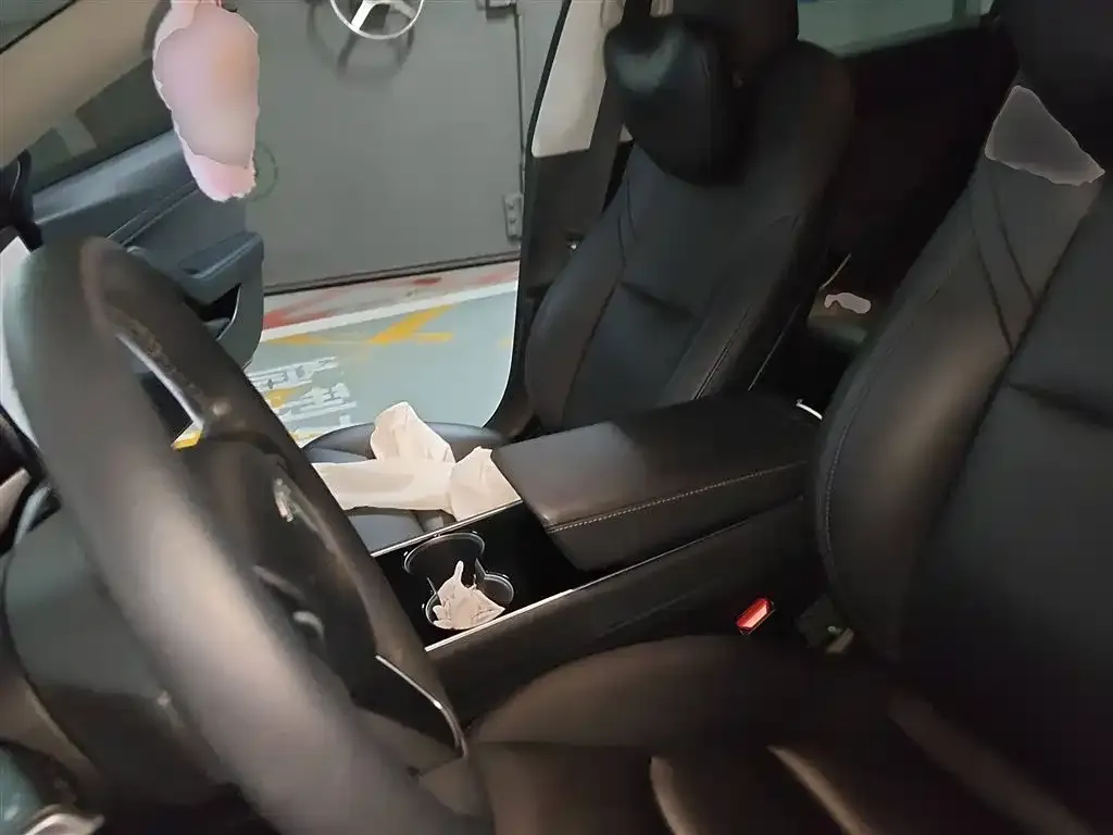 Tesla Model 3 2021 из CN, фото 8