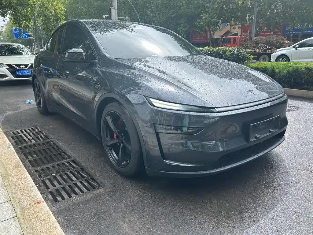 Tesla Model Y — фото 2