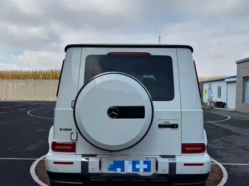 Mercedes-Benz G-Class 2023 из CN, фото 9