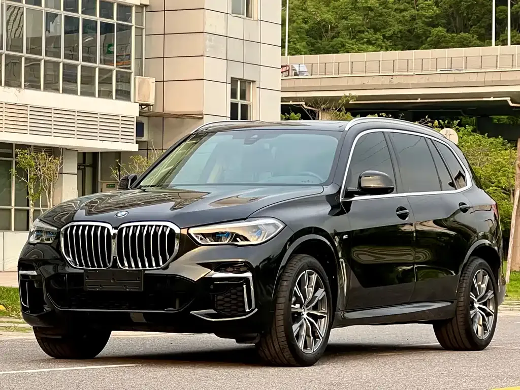 BMW X5 2023 из CN, фото 1