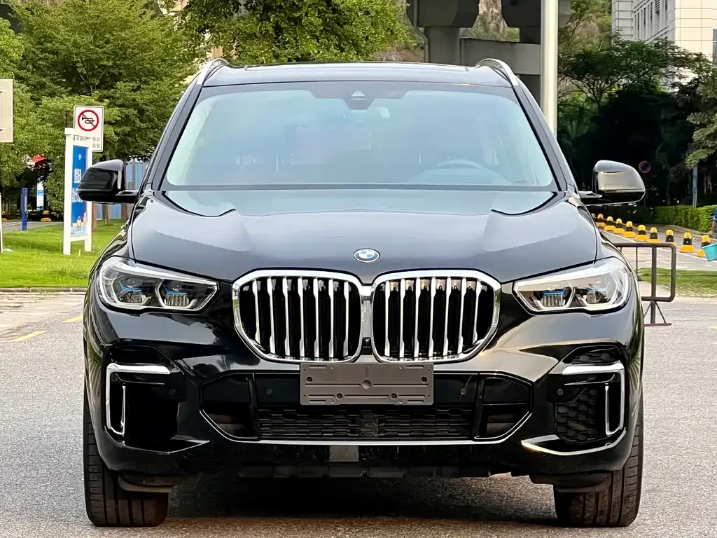 BMW X5 2023 из CN, фото 2