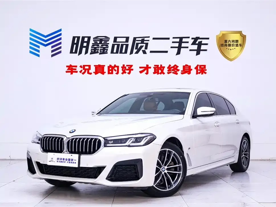 BMW 5 Series 2021 из CN, фото 1
