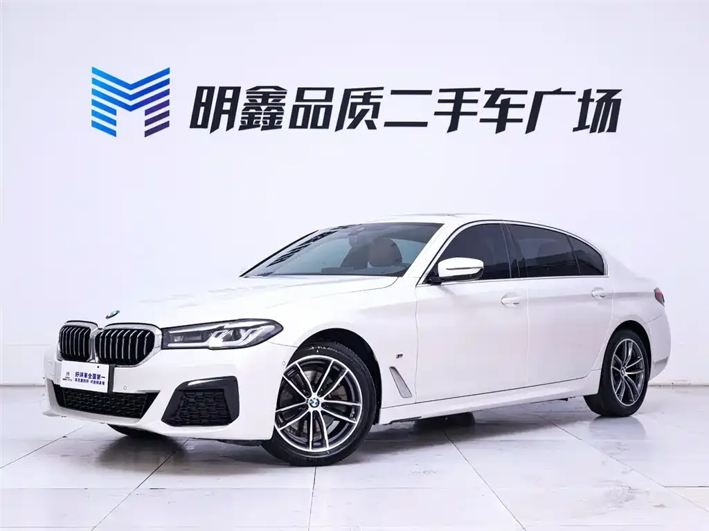 BMW 5 Series 2021 из CN, фото 2