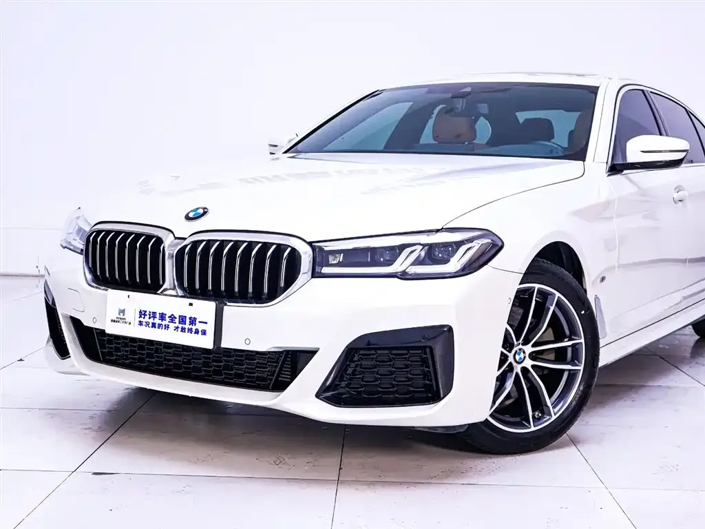 BMW 5 Series 2021 из CN, фото 3