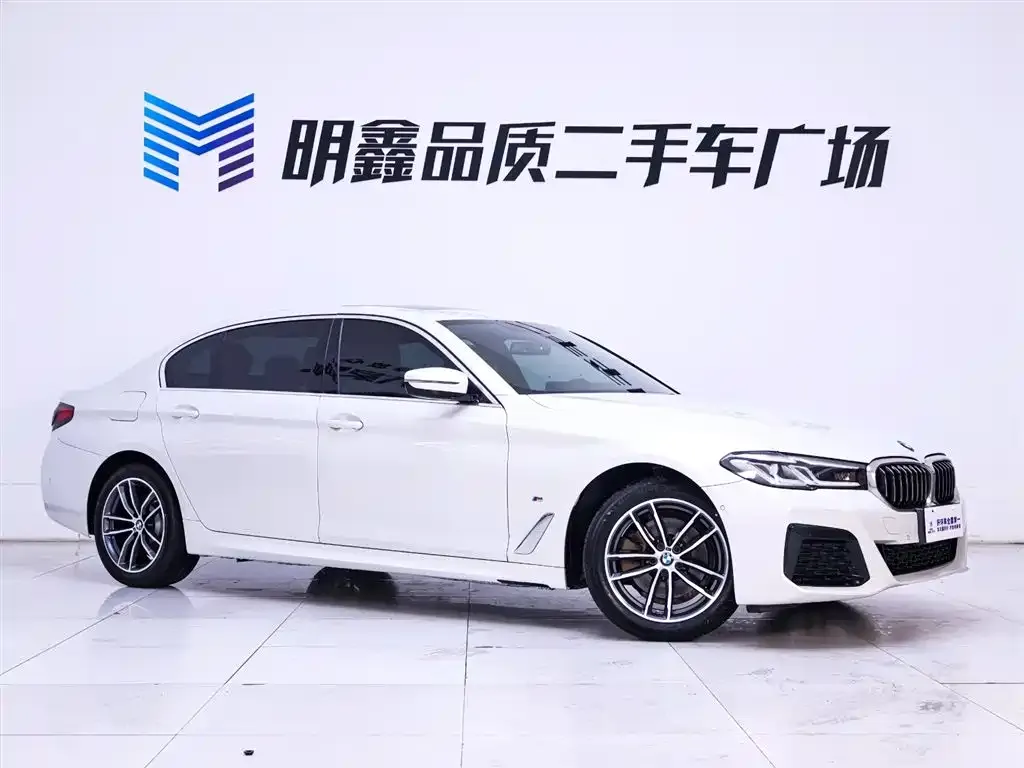 BMW 5 Series 2021 из CN, фото 5