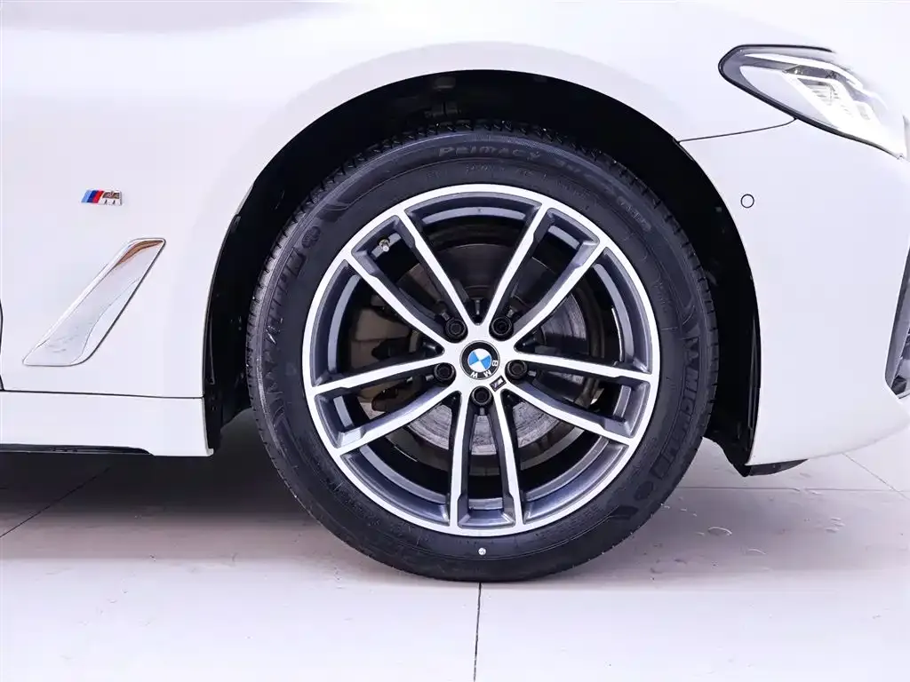 BMW 5 Series 2021 из CN, фото 6