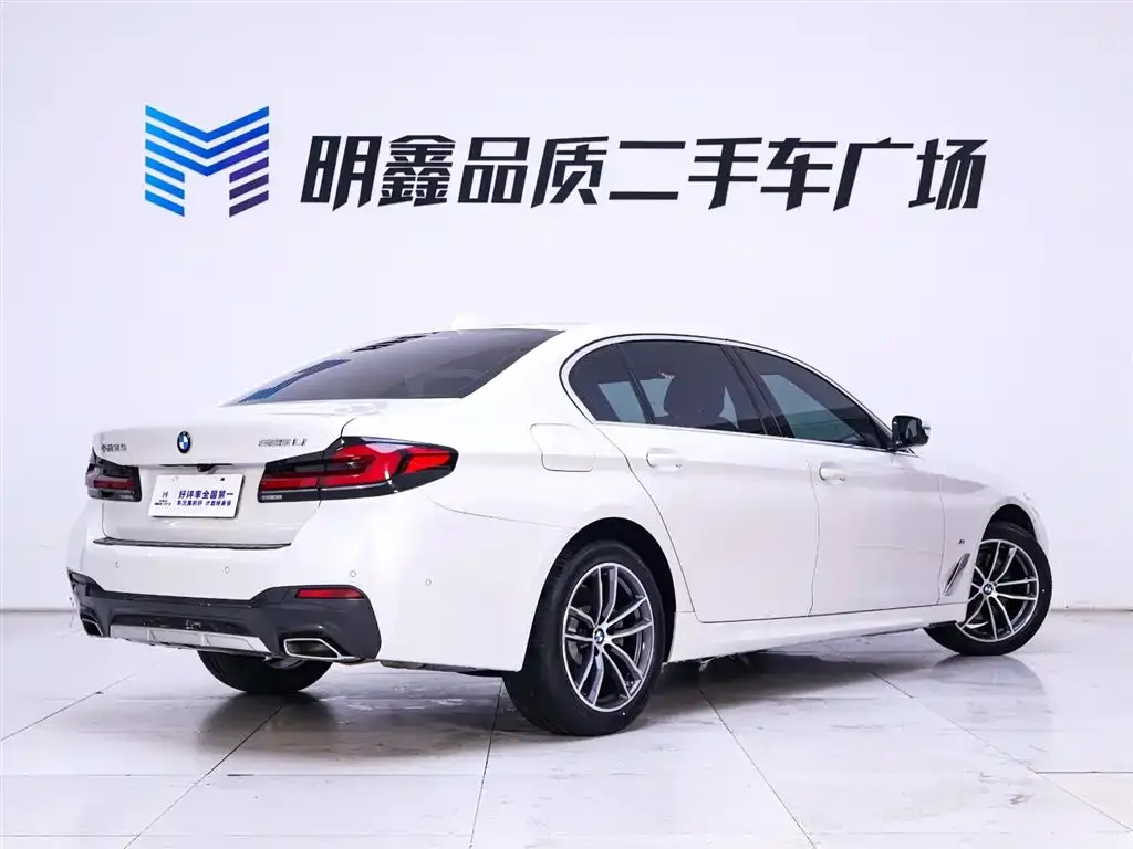 BMW 5 Series 2021 из CN, фото 7