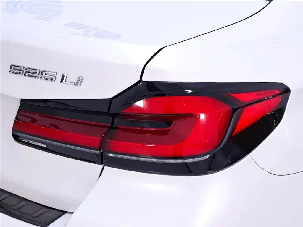 BMW 5 Series 2021 из CN, фото 9