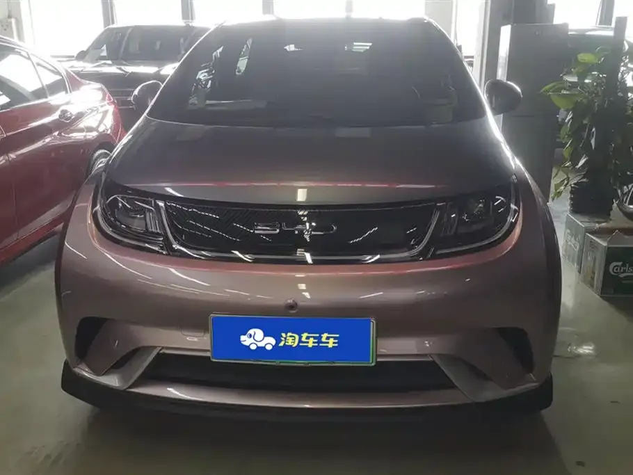 BYD Dolphin 2022 из CN, фото 2
