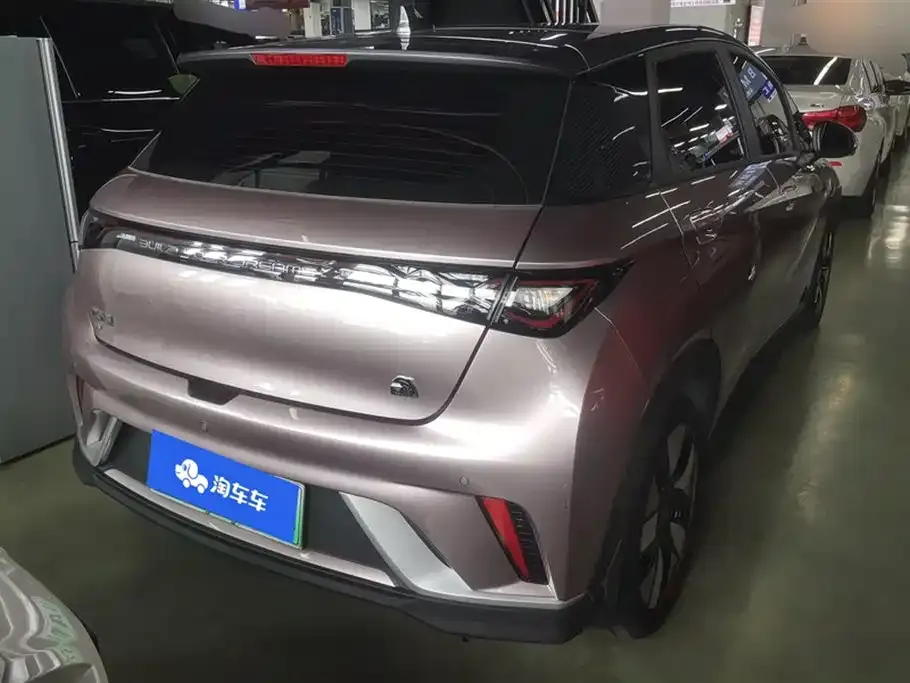 BYD Dolphin 2022 из CN, фото 3
