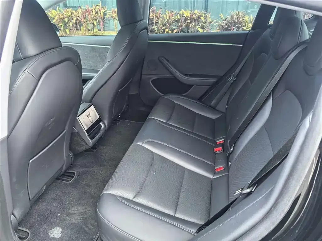 Tesla Model 3 2023 из CN, фото 6
