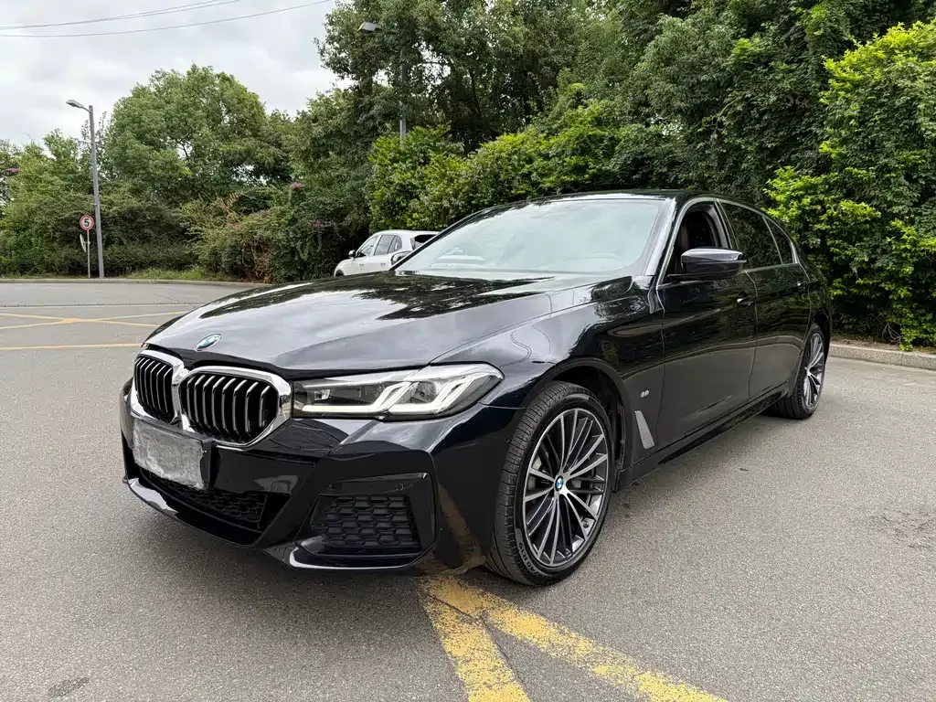 BMW 5 Series 2022 из CN, фото 1