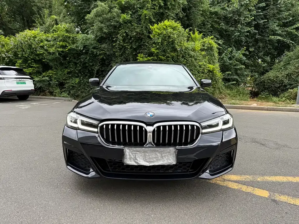 BMW 5 Series 2022 из CN, фото 2