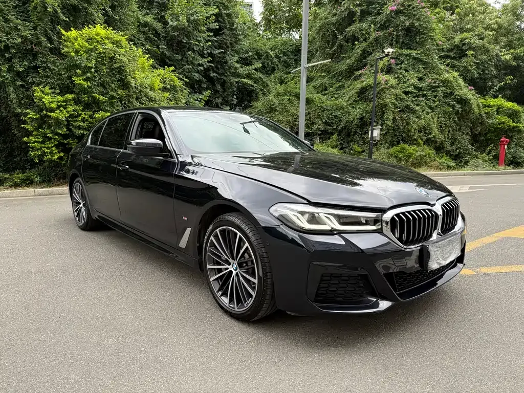 BMW 5 Series 2022 из CN, фото 3