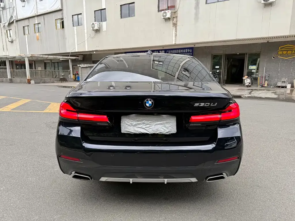 BMW 5 Series 2022 из CN, фото 7